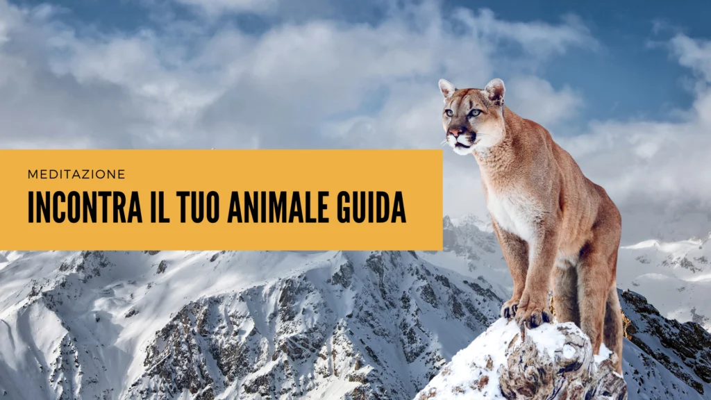 37M. Meditazione Animale Guida