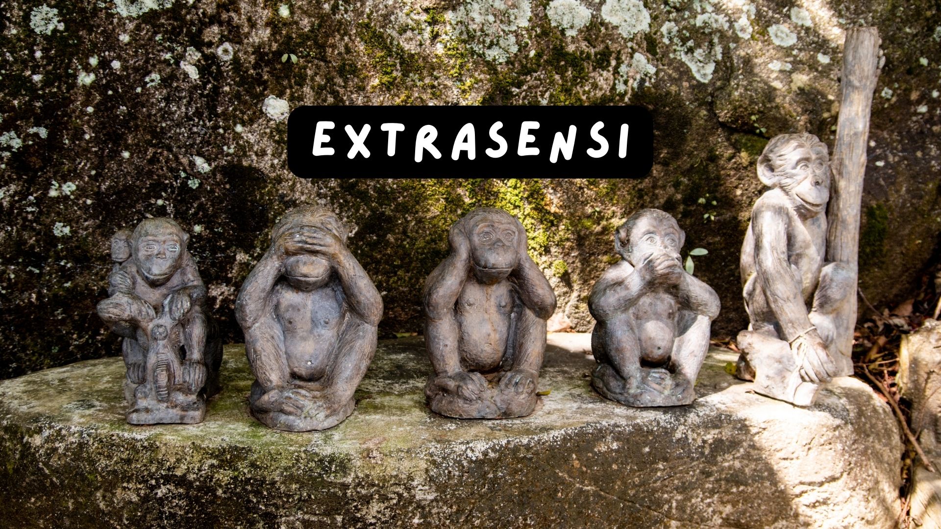 Extrasensi: Una Guida alla Comprensione dei Nostri Sensi Nascosti